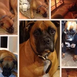 Meet your Posher, Susan